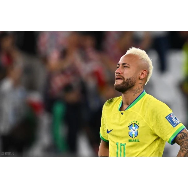 国际化进程 - 业务范围覆盖中国大陆、香港、台湾、东南亚、北美等地区。