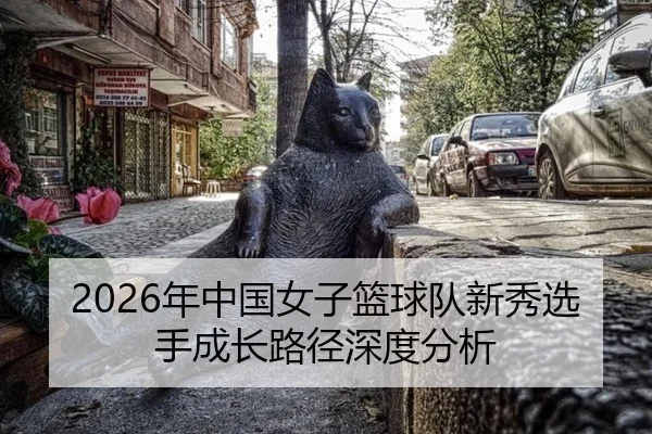 nian-zhong-guo-nv-zi-lan-qiu-dui-xin-xiu-xuan-shou-cheng-zhang-lu-jing-shen-du-fen-xi-2-458.jpg