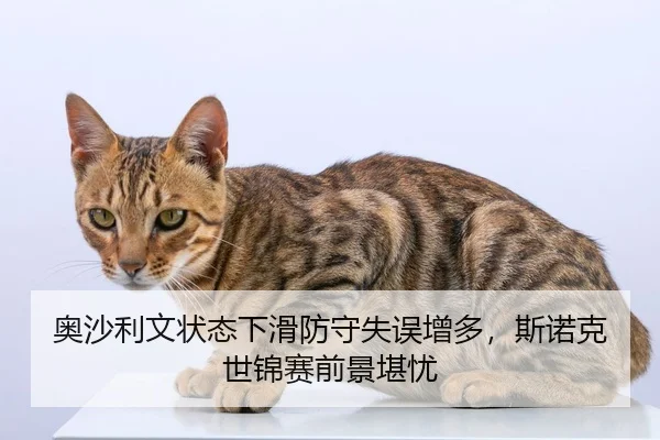 ao-sha-li-wen-zhuang-tai-xia-hua-fang-shou-shi-wu-zeng-duo-si-nuo-ke-shi-jin-sai-qian-jing-kan-you-2-199.jpg