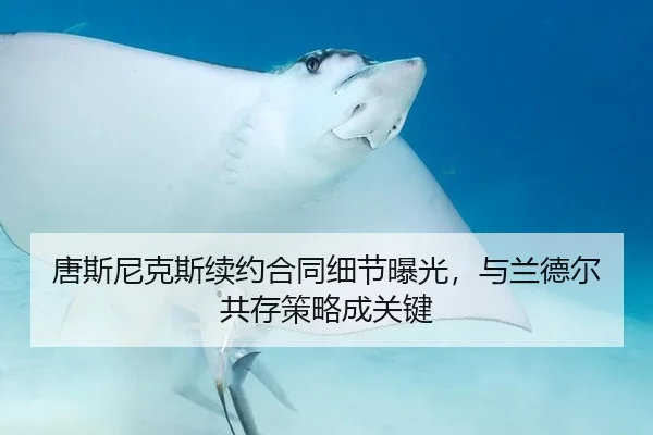 唐斯尼克斯续约合同细节曝光，与兰德尔共存策略成关键