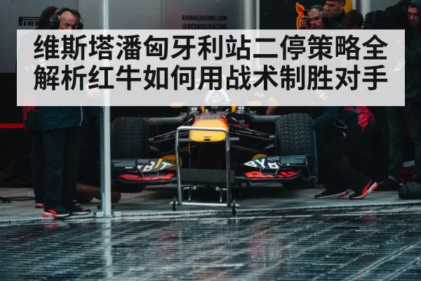 Red Bull pit stop strategy